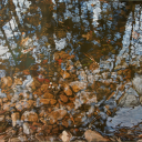 Creek Study Allegro 20 x 27