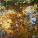 Sunlight And Shadows Study 20 x 20