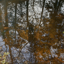 Late Afternoon Study SOLD