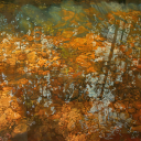 Study In Blue And Gold SOLD