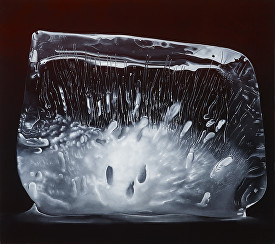 Palme_Only Constant_40x45_5400