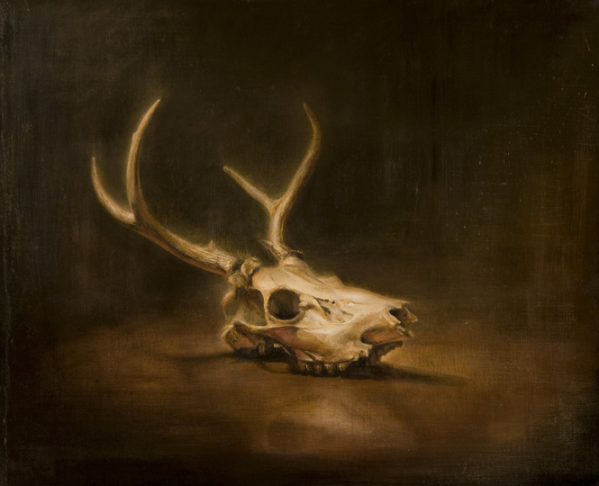 Luke Hillestad | Deer Skull | Oil on canvas | 20