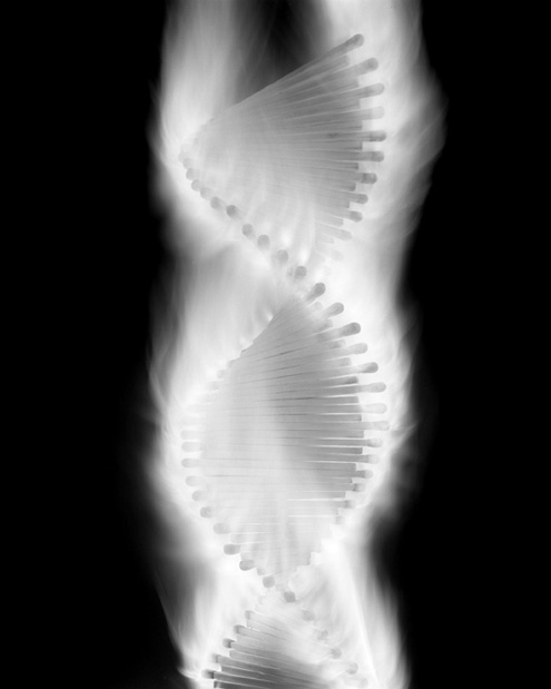 Caleb Charland | Helix with Matchsticks 
| Gelatin silver print | 24