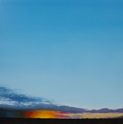 Adin Murray
Cocklebiddy West
Oil on canvas
72