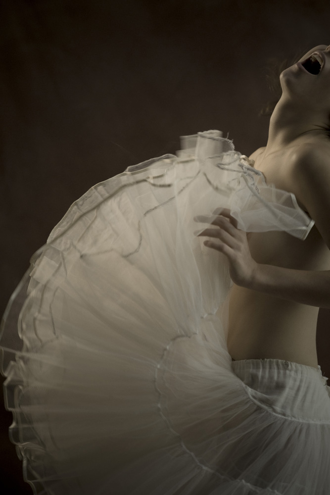 Thomas Petillo | Actuate Number One | 11.25