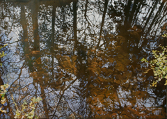 Drew Galloway
Late Afternoon Study
Oil on collaged metal
20