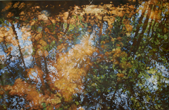 Drew Galloway
Mosaic Study (Springtime)
Oil on collaged metal
20