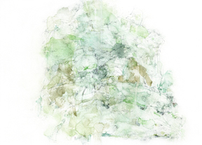 Emily Leonard /
Tree Portrait in Green /
Mixed media on paper /
15